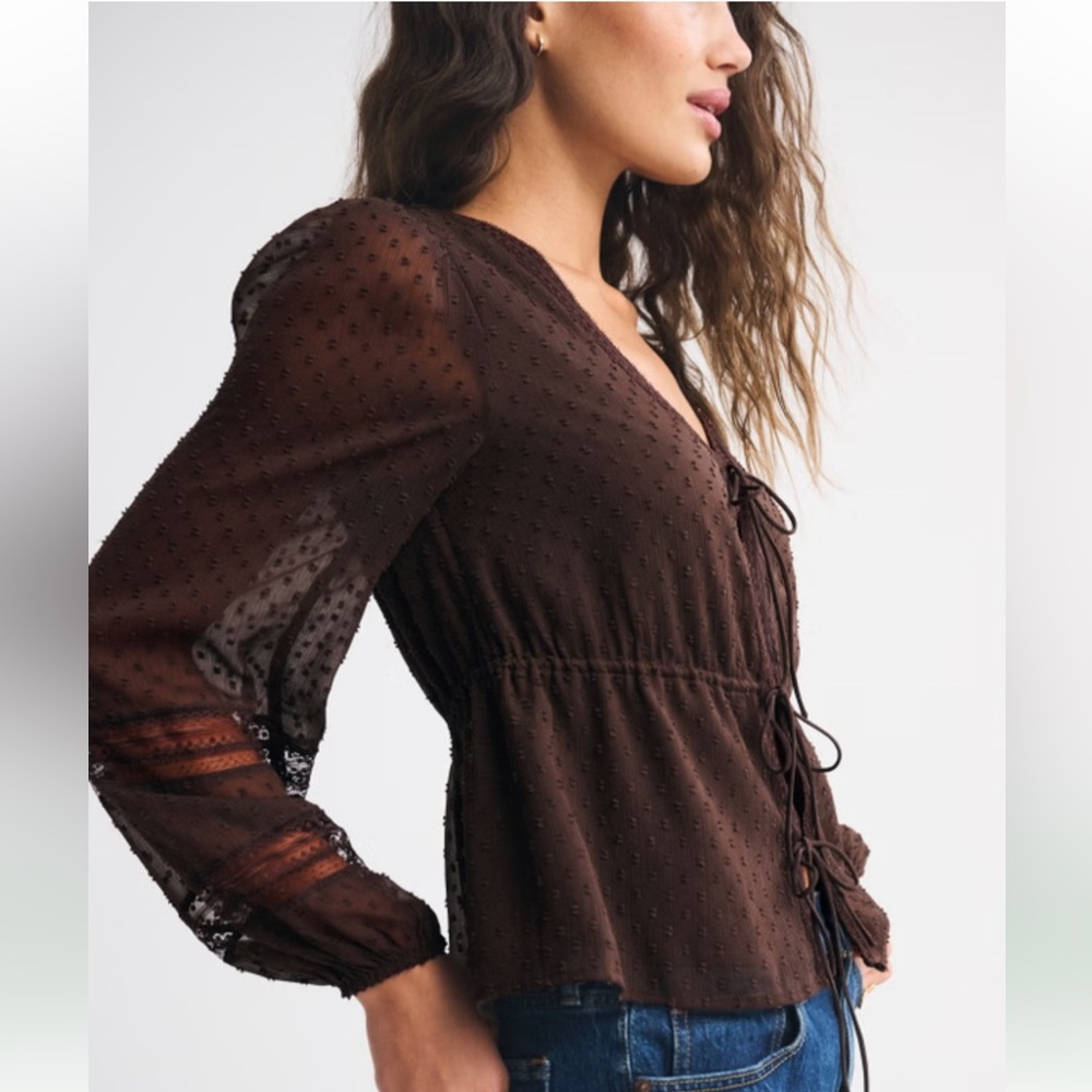 Abercrombie & Fitch Long-Sleeve Tie-Front Brown Lace Top NWOT - Picture 2 of 8